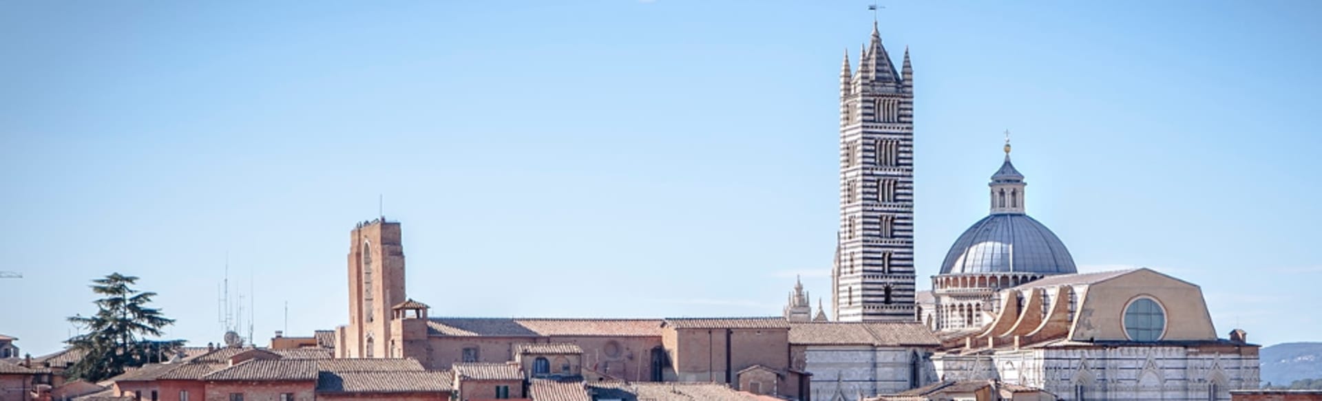 University of Siena Bachelor in Economics and Management
