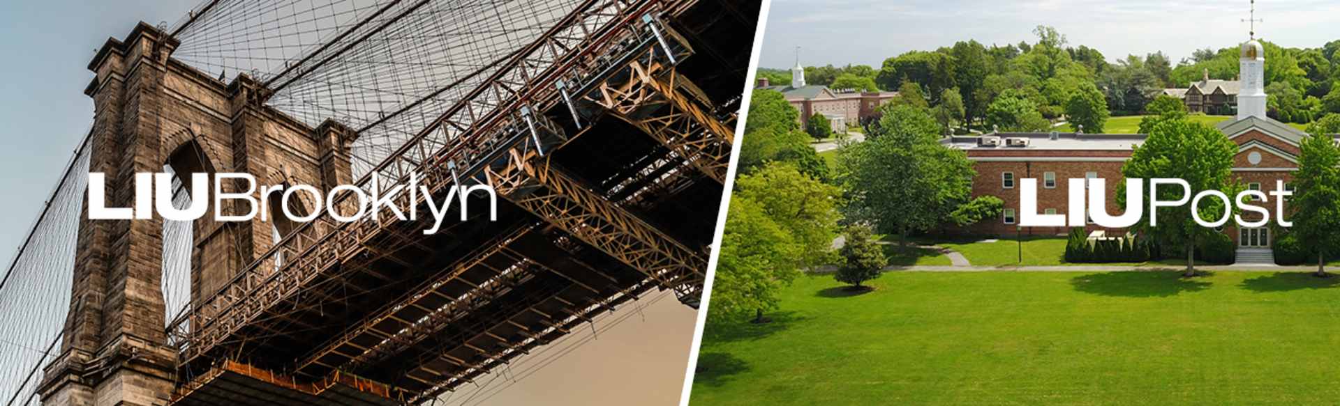 Long Island University Licenciatura en Ciencias en Administración de Empresas - LIU Brooklyn