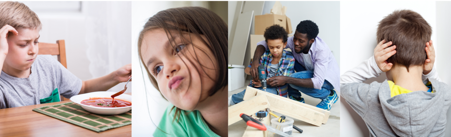 University of New Brunswick College of Extended Learning Capacitación en Análisis de Comportamiento Aplicado para Familias y Cuidadores