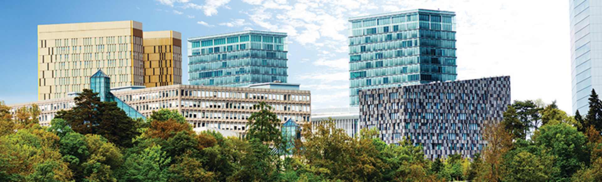 University of Luxembourg, Faculty of Law, Economics and Finance Master in Entrepreneurship and Innovation