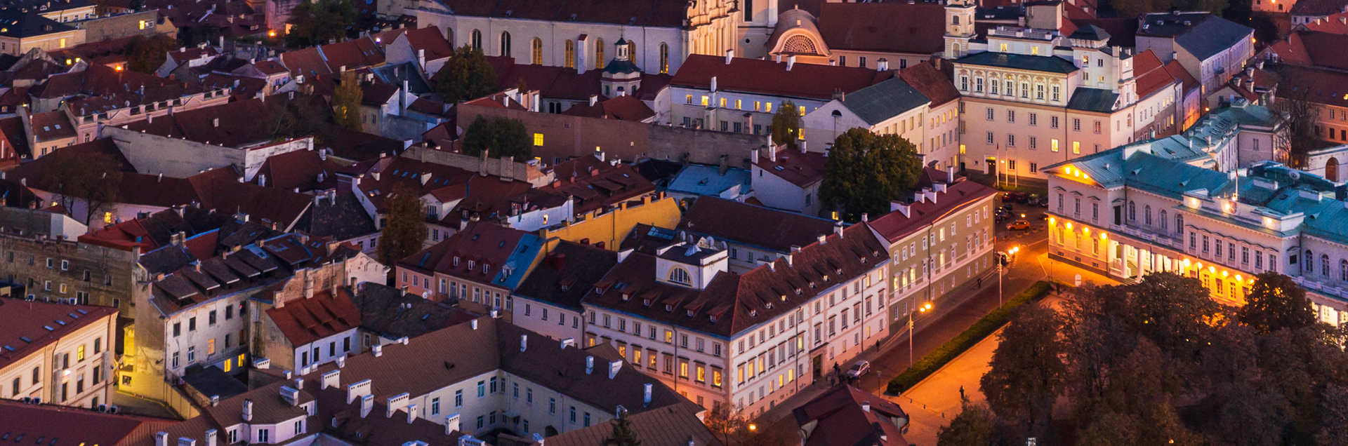 Vilnius University