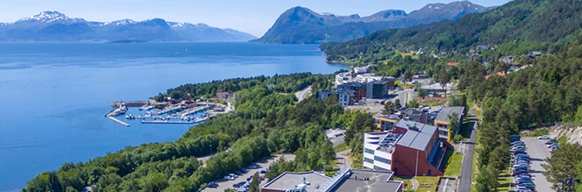 Molde University College - Specialized University in Logistics