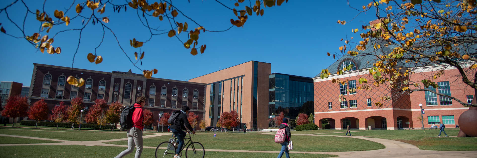 University of Illinois Urbana-Champaign – The Grainger College of Engineering
