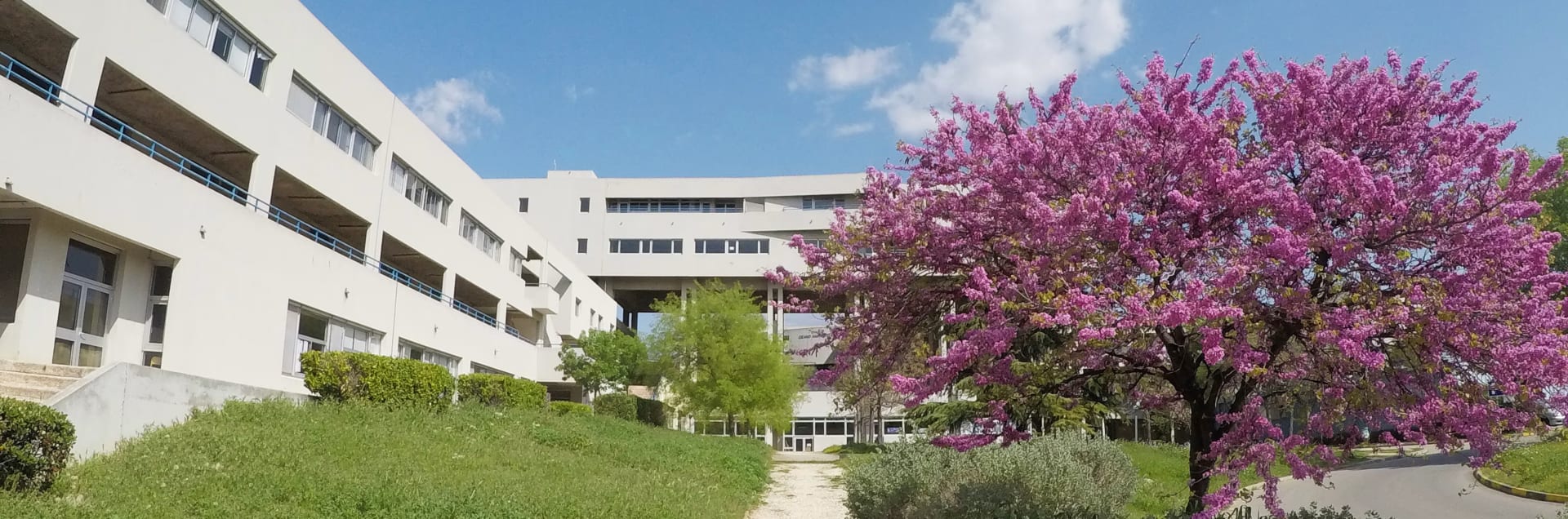 Centrale Méditerranée