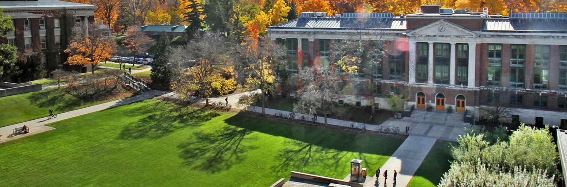 State University of New York College of Environmental Science and Forestry