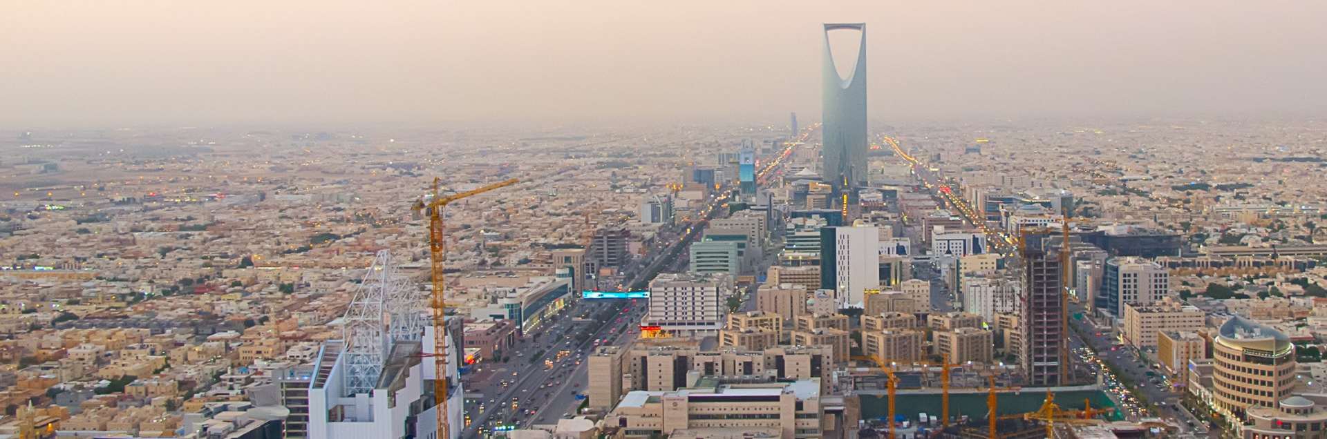 Prince Sultan University