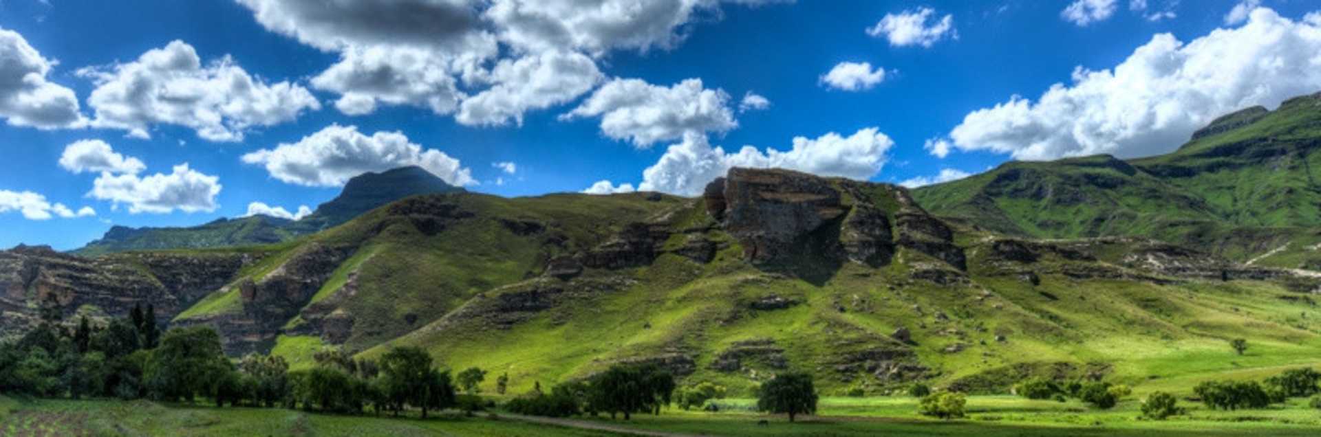 Botho University