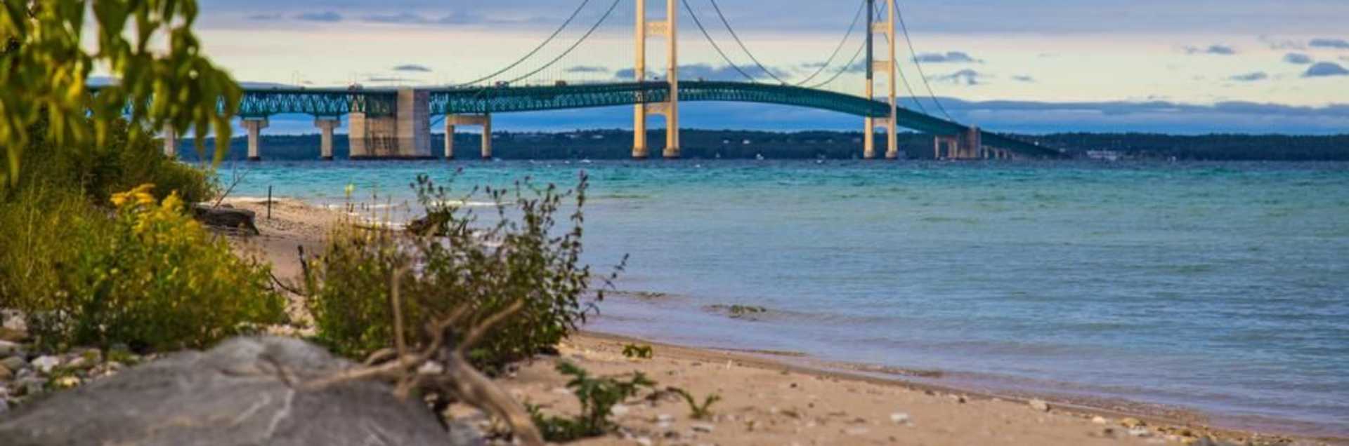 Michigan State University International Studies and Programs