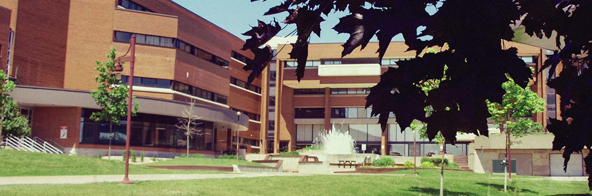Cambrian College