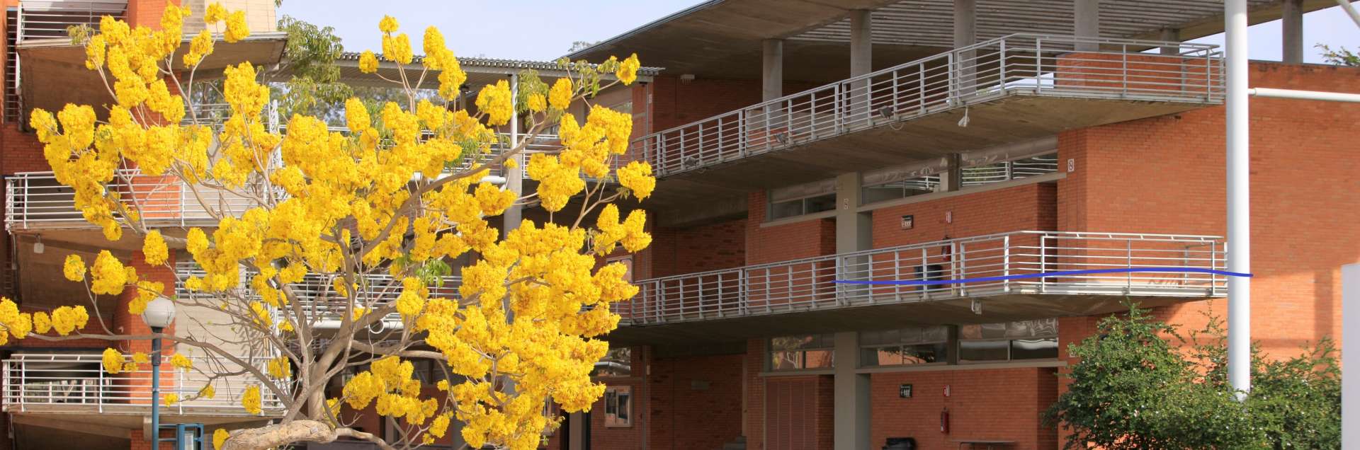 ITESO - Universidad Jesuita de Guadalajara
