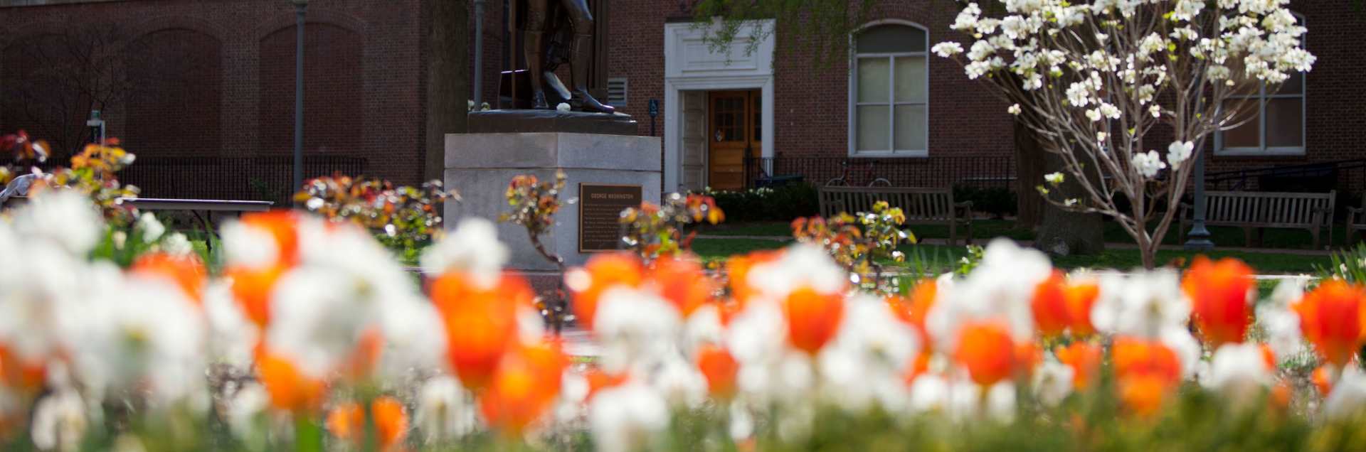 George Washington University, Law School