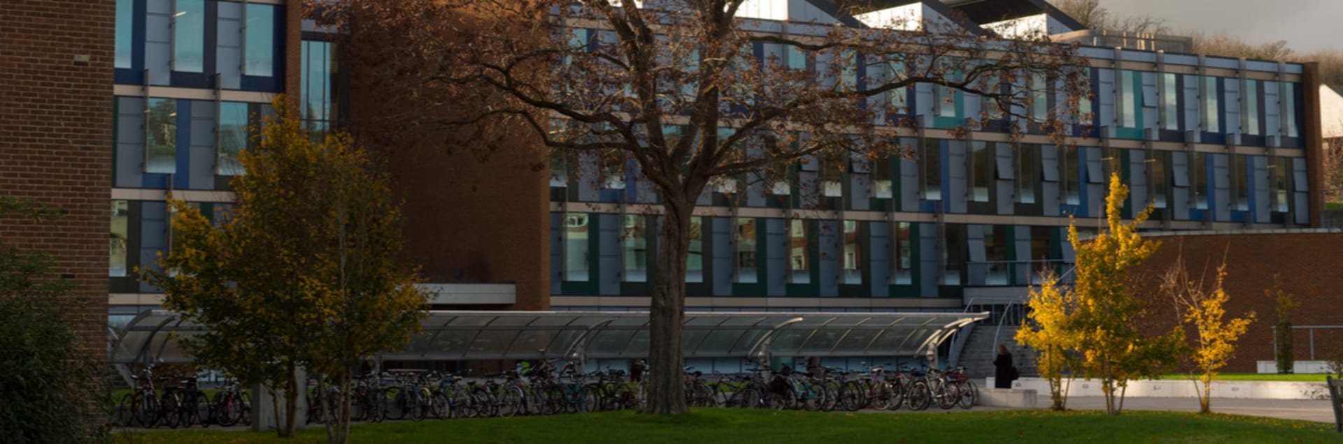 University of Sussex
