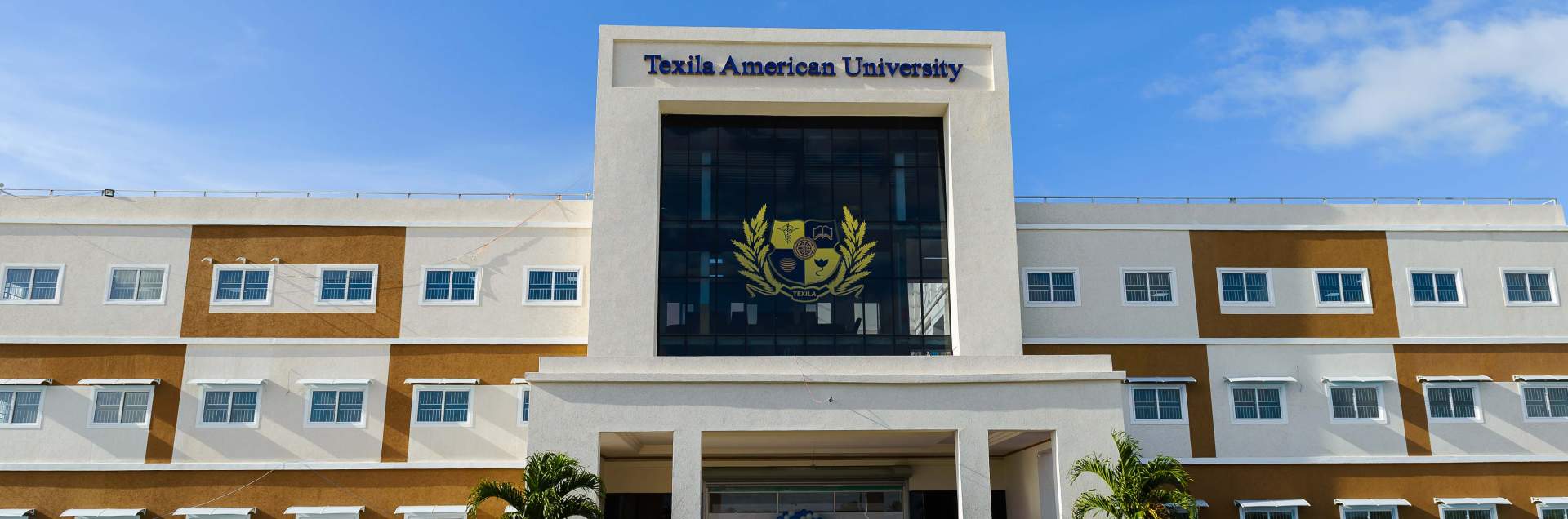 Texila American University