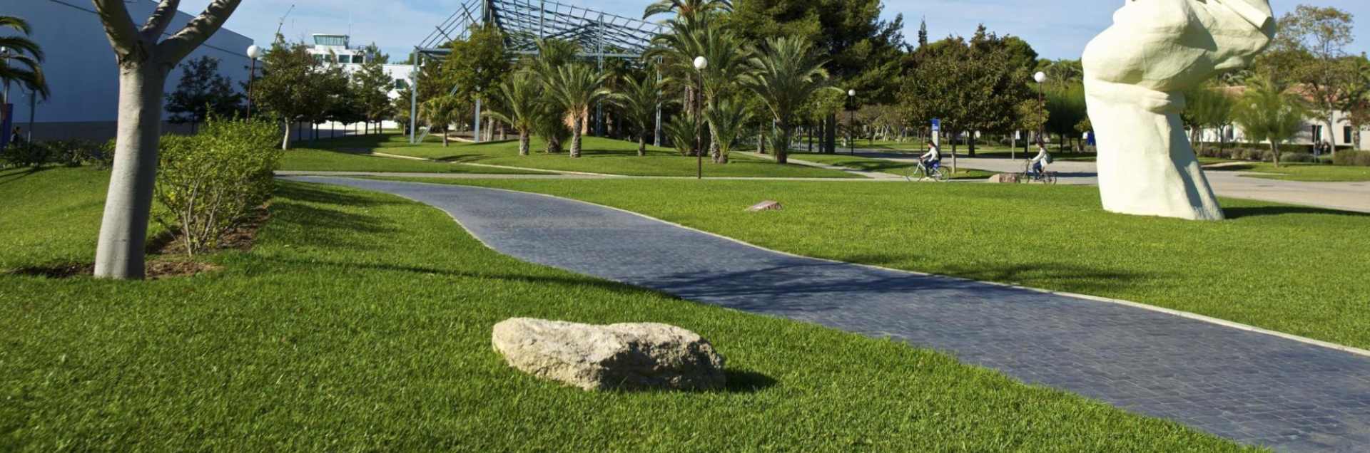 Universidad de Alicante