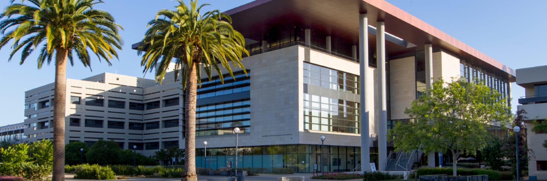 Stanford University