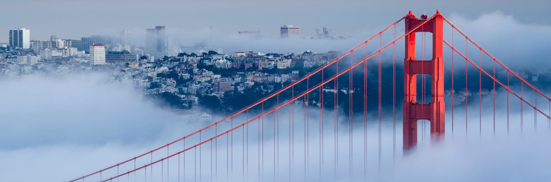 Presidio Graduate School