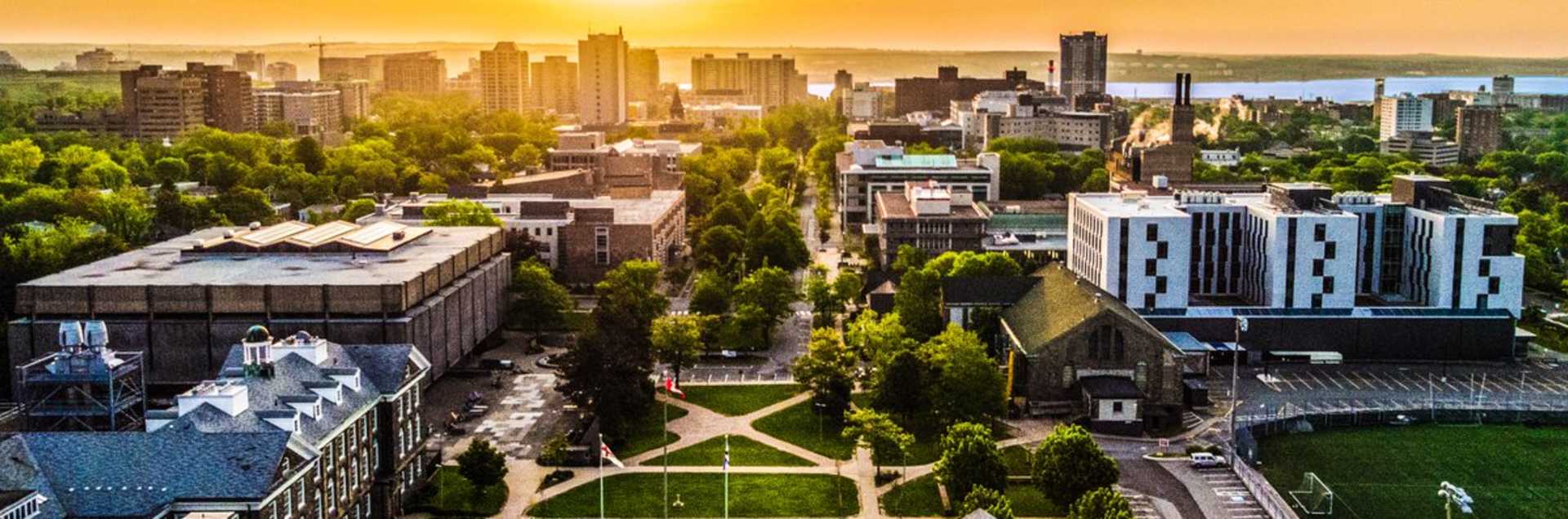 Dalhousie University