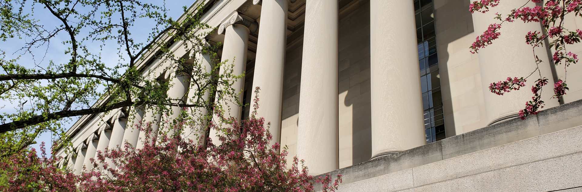 Carnegie Mellon University - Mellon College of Science