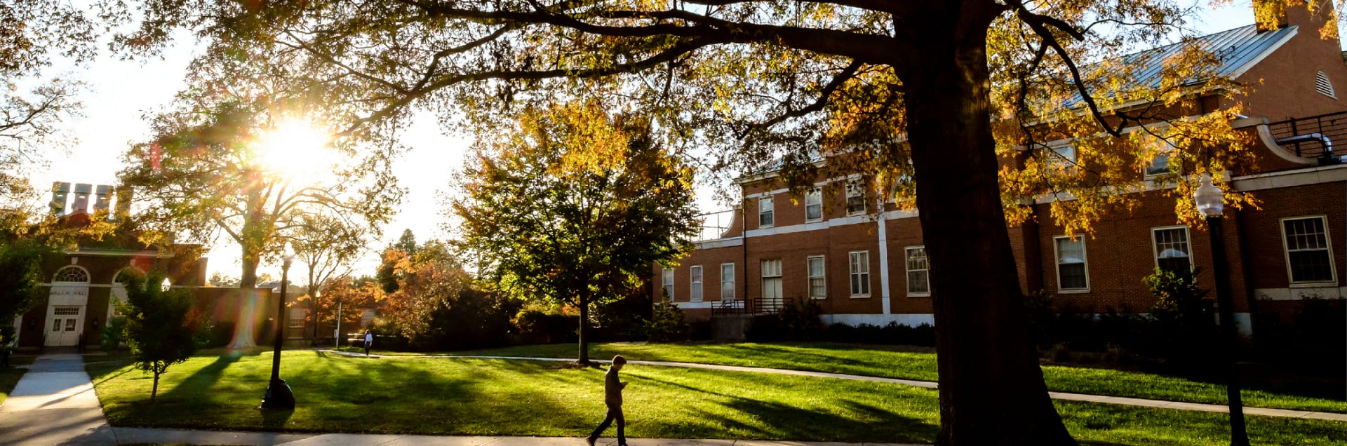 Wake Forest University