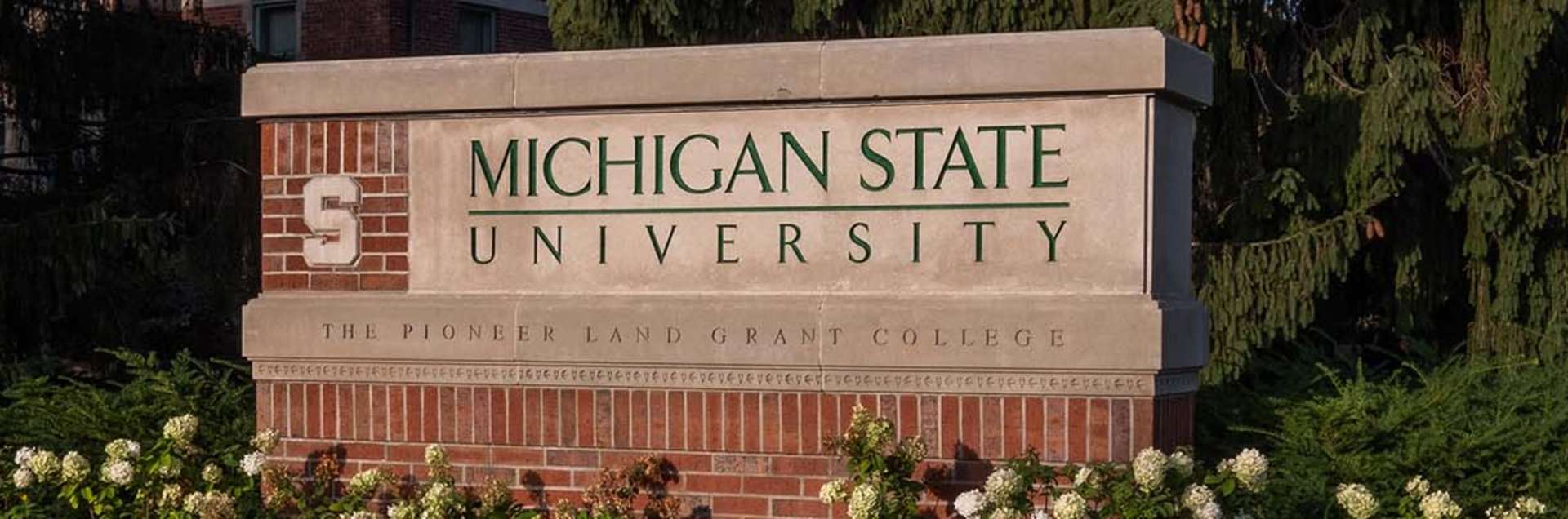 Michigan State University Online