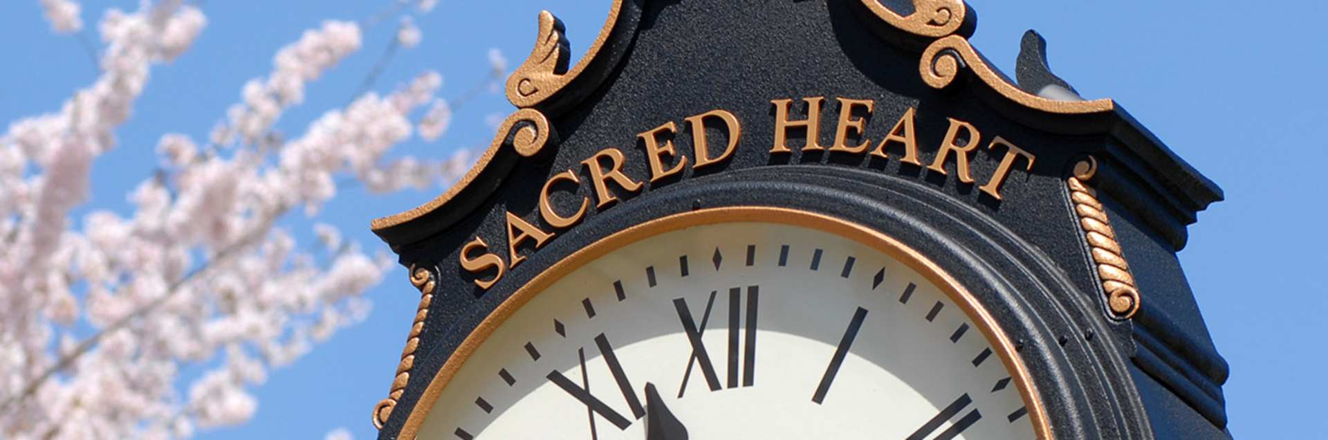 Sacred Heart University Online