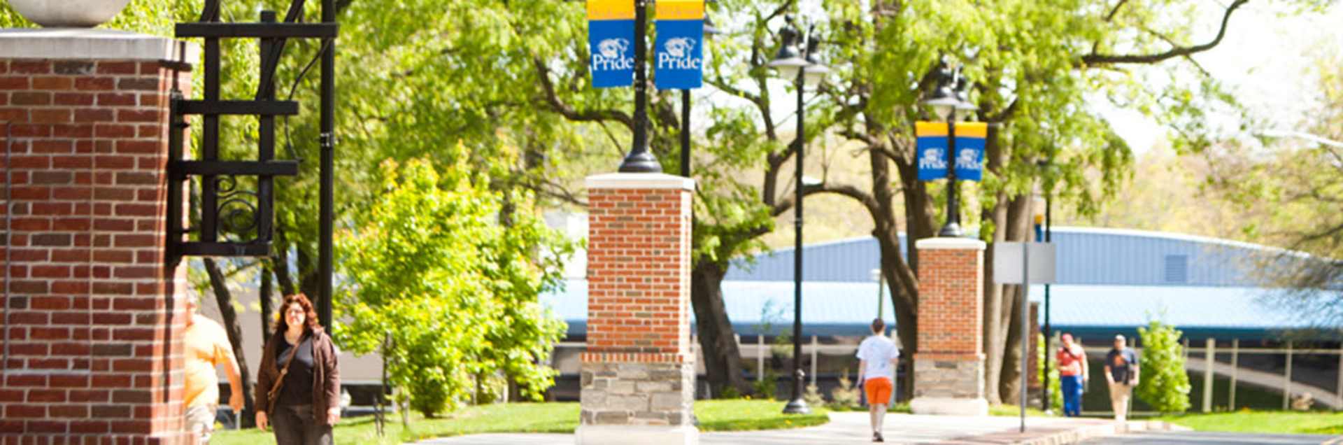 Widener University Online