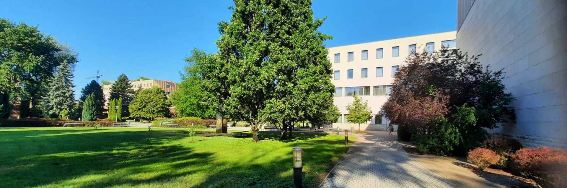 University of Nyiregyhaza
