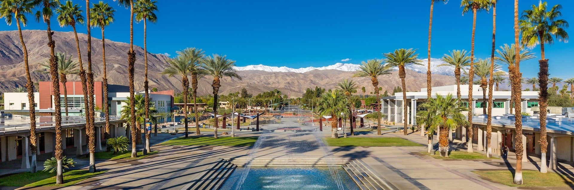 College of the Desert