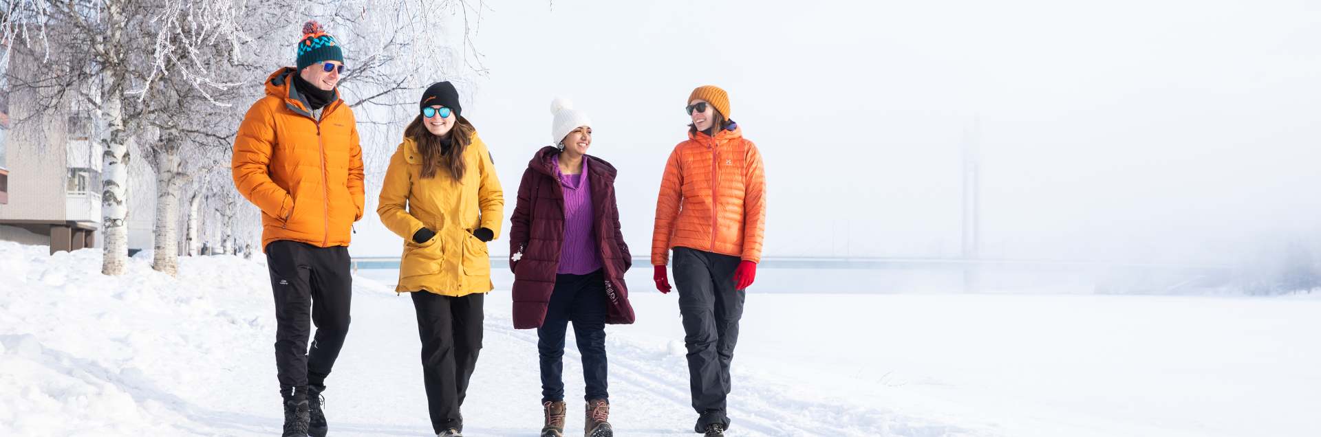 Lapland University of Applied Sciences (LAPIN AMK)