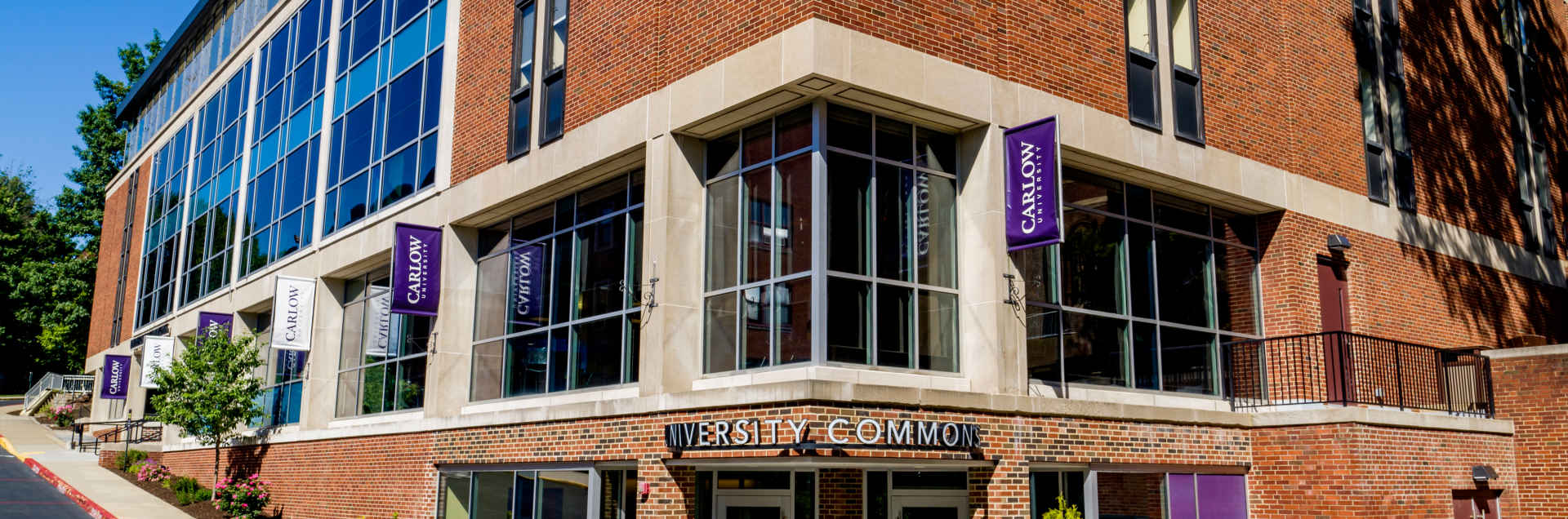 Carlow University Online