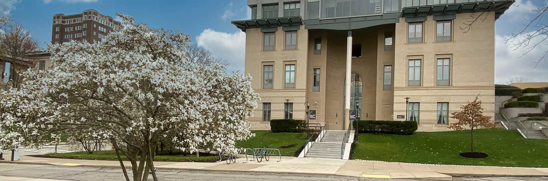 Carnegie Mellon University Department of Languages, Cultures & Applied Linguistics