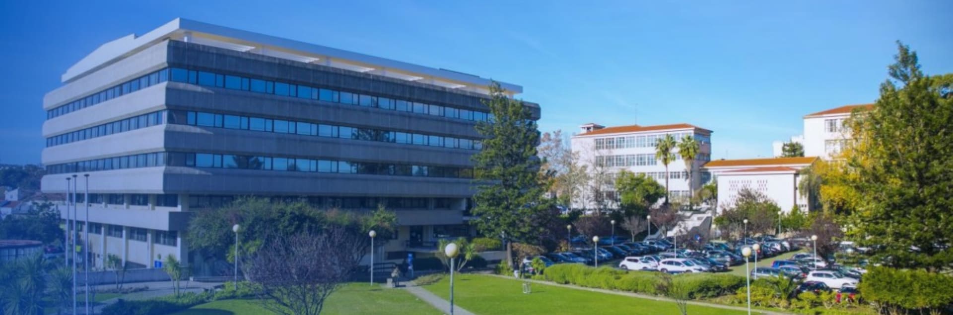 Católica Global School of Law