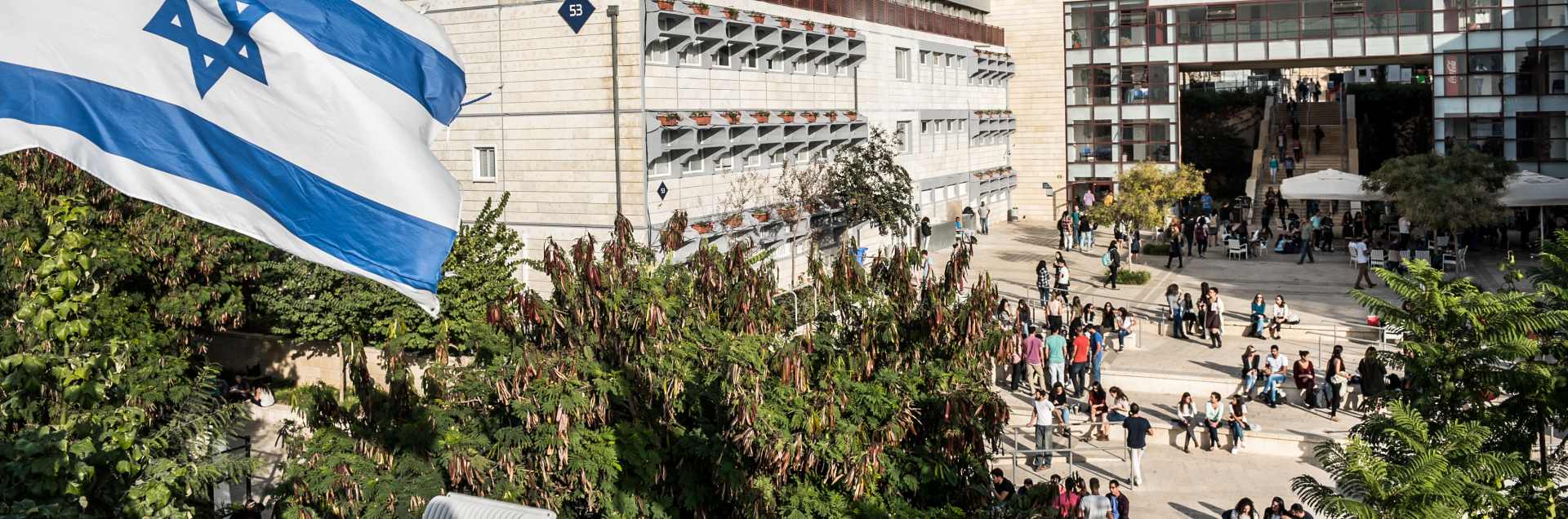 Ariel University