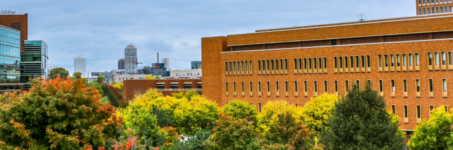 University of Minnesota – Carlson School of Management