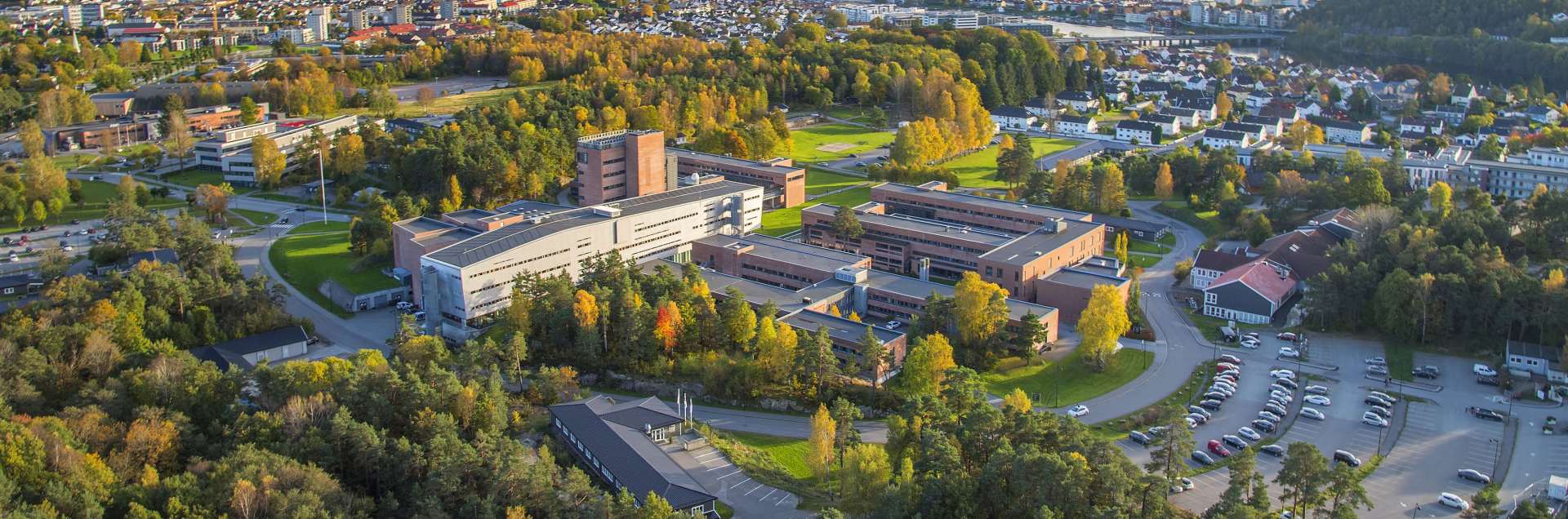 University of Agder