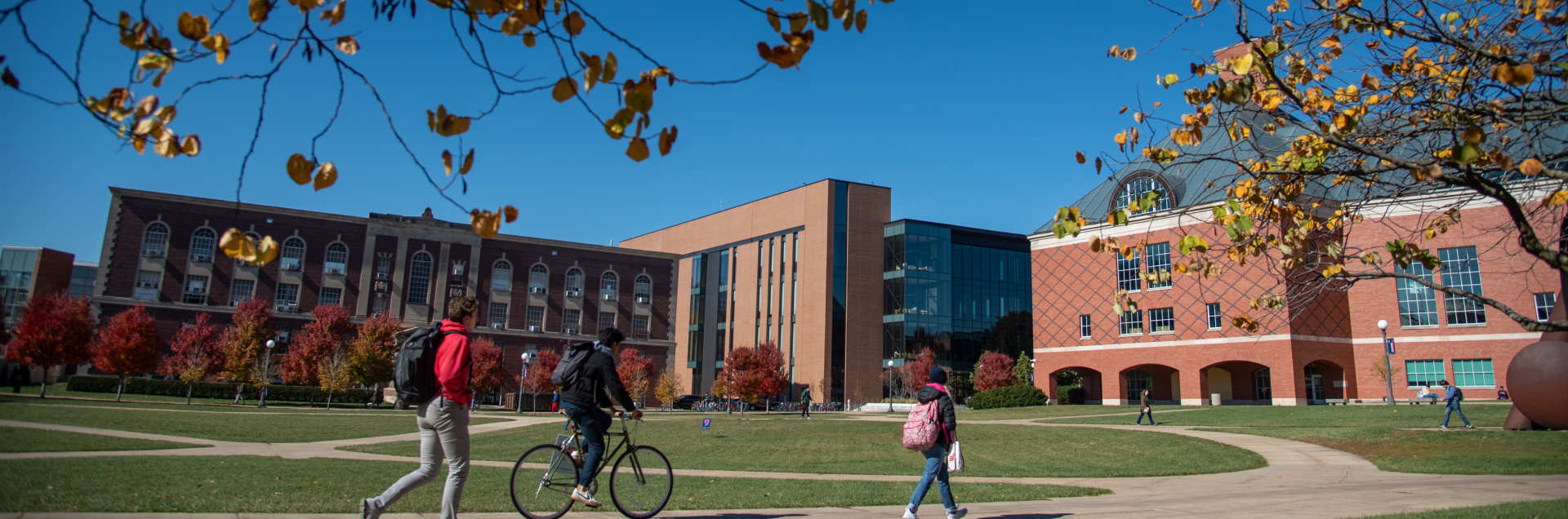 University of Illinois Urbana-Champaign – The Grainger College of Engineering