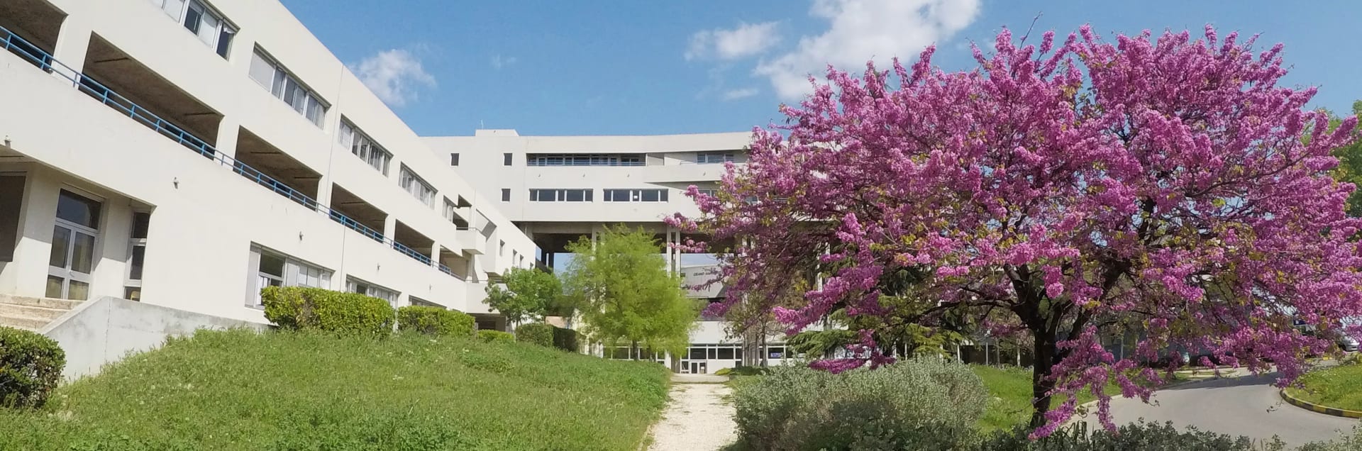 Centrale Méditerranée