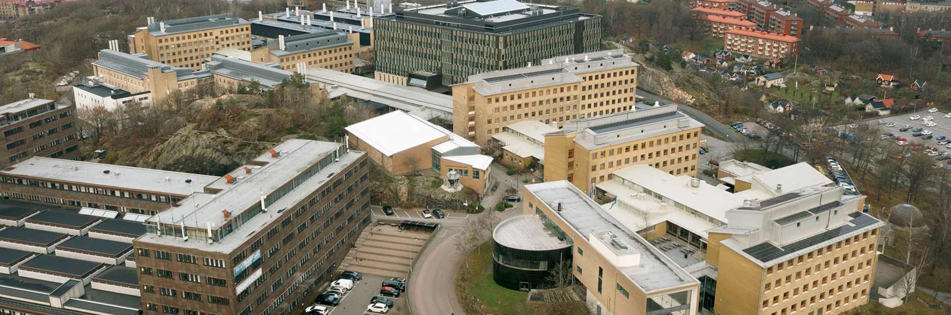 University of Gothenburg, Sahlgrenska Academy (Faculty of Medicine)