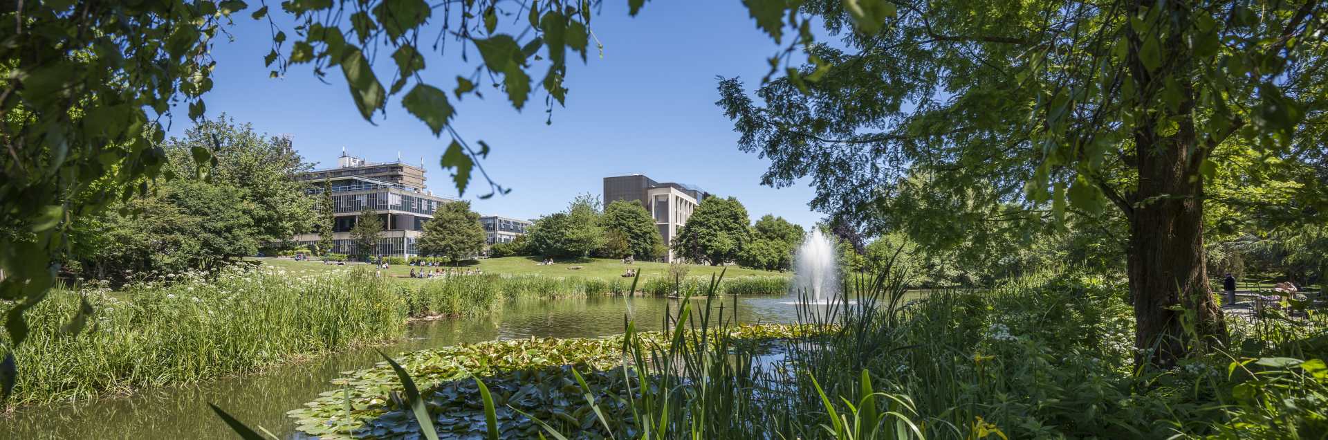 University of Bath Online