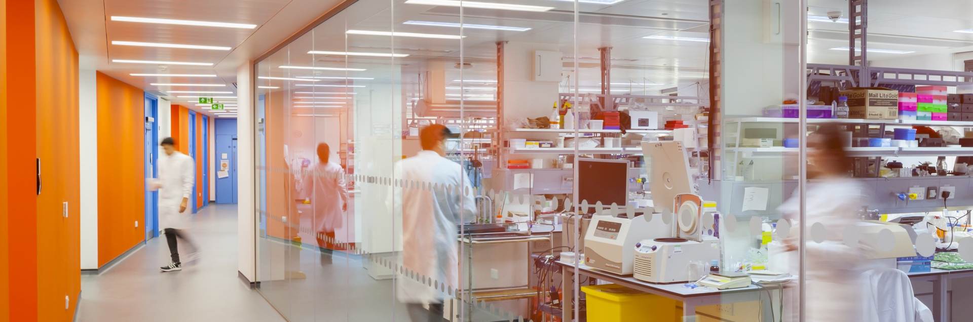 University of Bristol - Health and Life Sciences