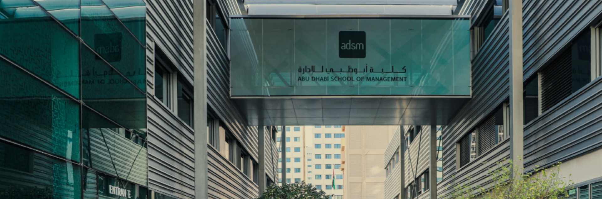 The Abu Dhabi School Of Management