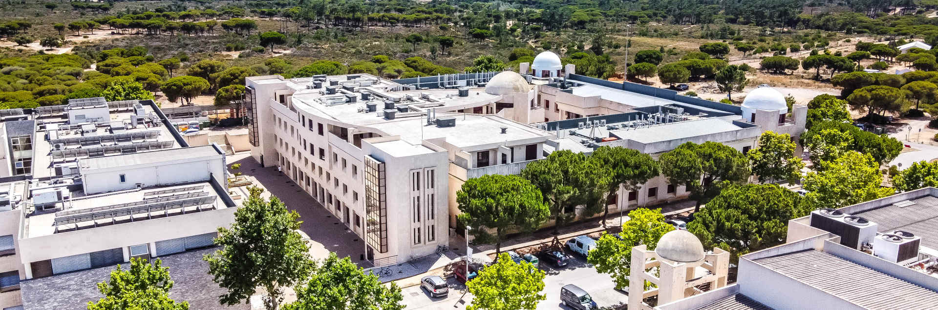 University of Algarve