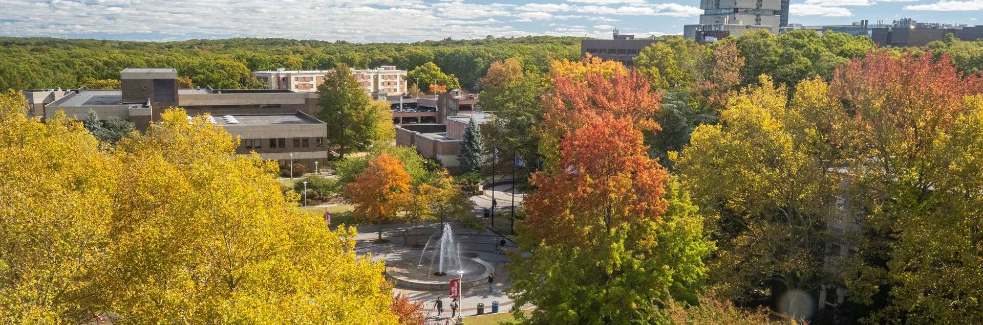 Stony Brook University College of Business