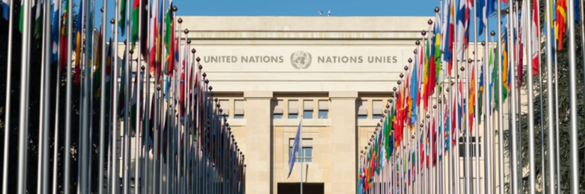 The United Nations Institute for Training and Research (UNITAR)
