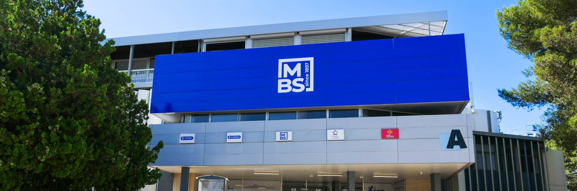 MBS School of Business