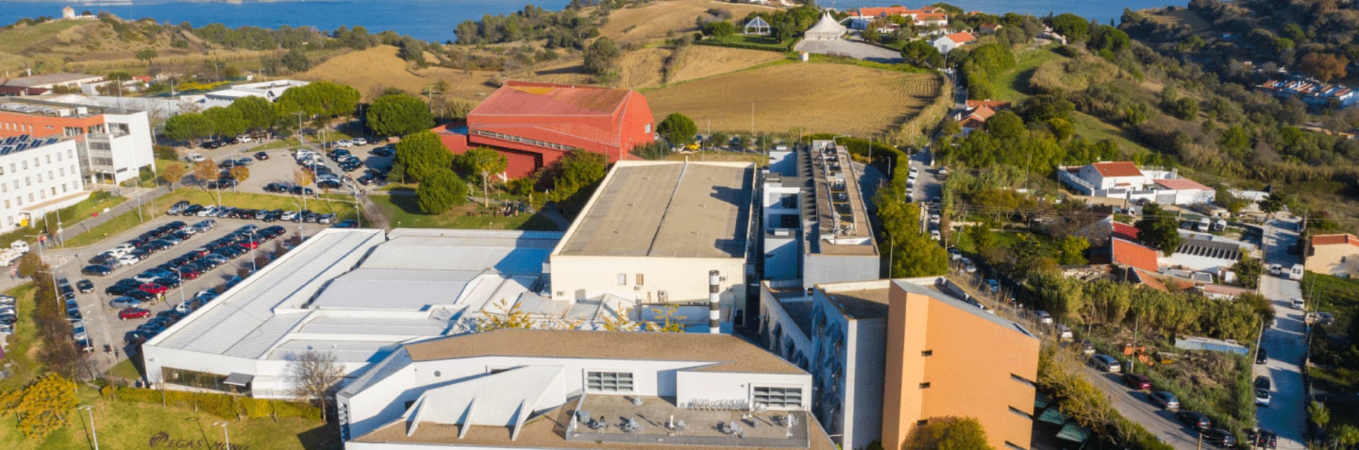 Egas Moniz School of Health & Science