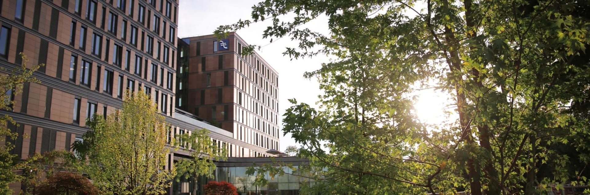 Frankfurt School of Finance & Management - Sustainable World Academy