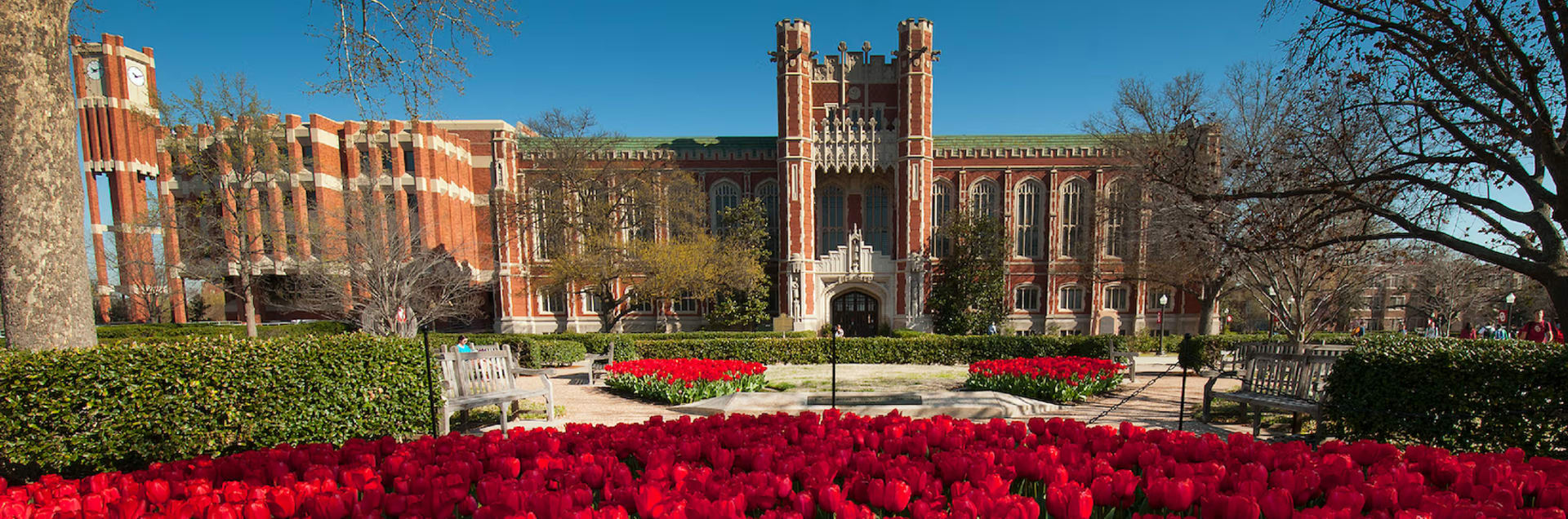 University of Oklahoma Online