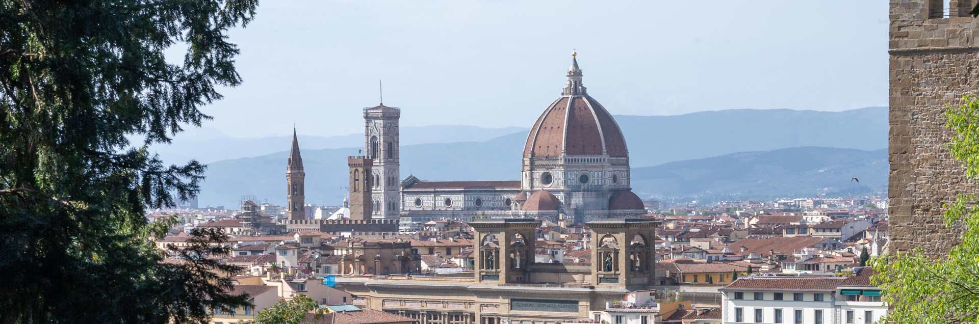 Lorenzo de' Medici - The Italian International Institute