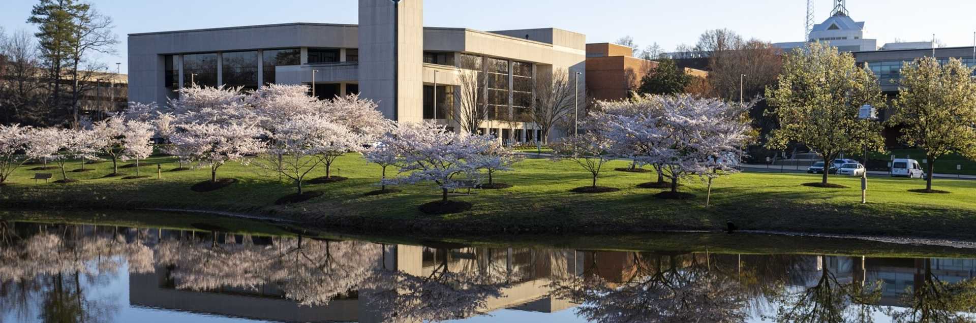 George Mason University